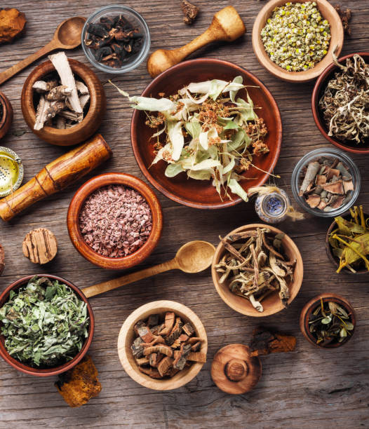 Variedade de ervas e ingredientes naturais