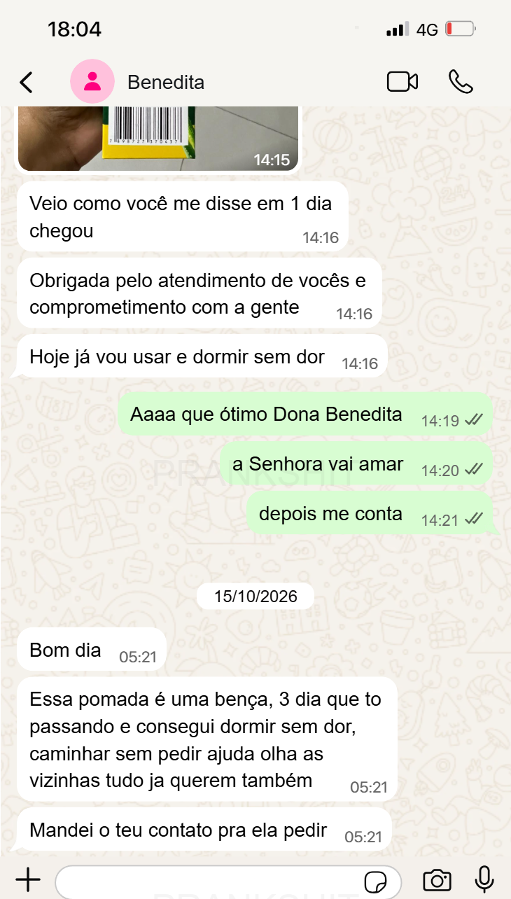 Depoimento de WhatsApp 2